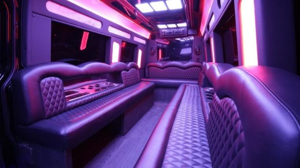 ceres sprinter limo rental interior